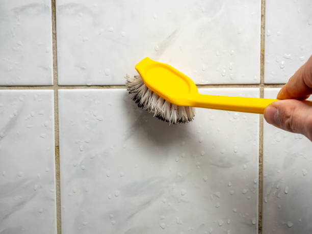 Best Mold Testing  in Rensselaer, NY