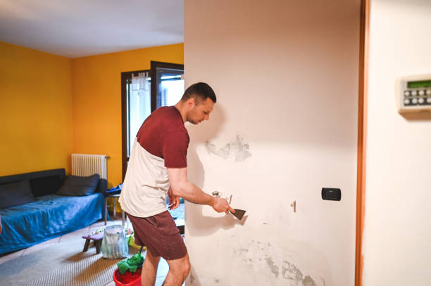 Best Mold Damage Repair  in Rensselaer, NY